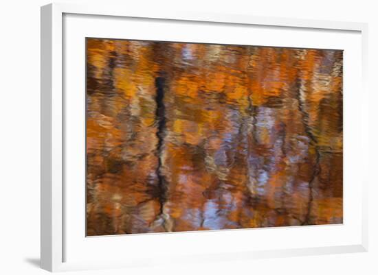 Georgia, Reflections of Fall Cypress Trees at George Smith State Park-Joanne Wells-Framed Photographic Print