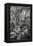 Georgia, Savannah, Bonaventure Cemetery-Walter Bibikow-Framed Premier Image Canvas