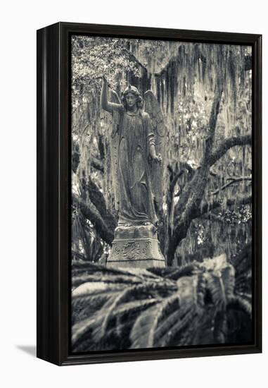 Georgia, Savannah, Bonaventure Cemetery-Walter Bibikow-Framed Premier Image Canvas