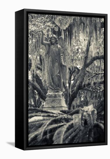 Georgia, Savannah, Bonaventure Cemetery-Walter Bibikow-Framed Premier Image Canvas