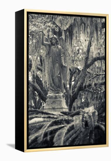 Georgia, Savannah, Bonaventure Cemetery-Walter Bibikow-Framed Premier Image Canvas