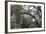 Georgia, Savannah, Bonaventure Cemetery-Walter Bibikow-Framed Photographic Print