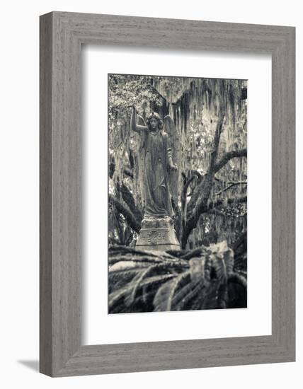 Georgia, Savannah, Bonaventure Cemetery-Walter Bibikow-Framed Photographic Print