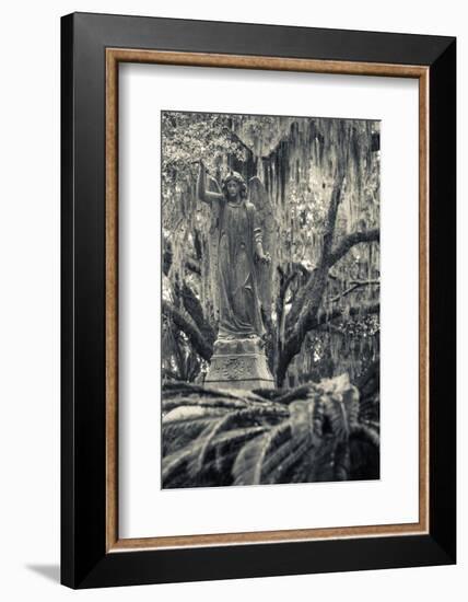 Georgia, Savannah, Bonaventure Cemetery-Walter Bibikow-Framed Photographic Print