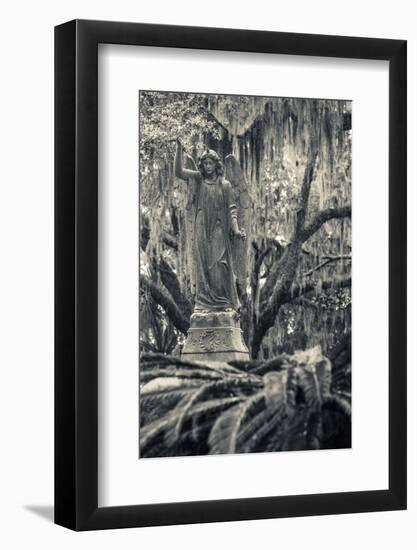 Georgia, Savannah, Bonaventure Cemetery-Walter Bibikow-Framed Photographic Print