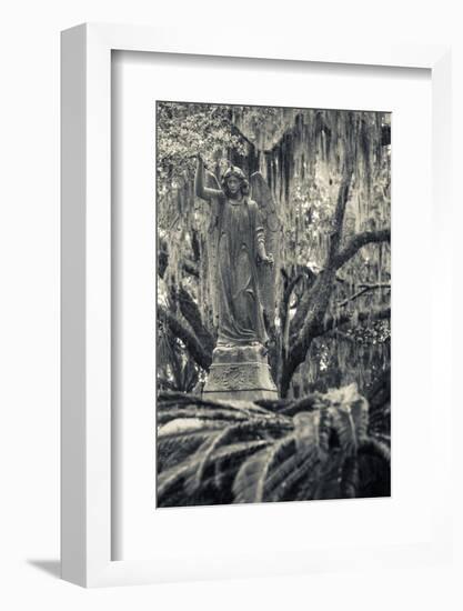 Georgia, Savannah, Bonaventure Cemetery-Walter Bibikow-Framed Photographic Print