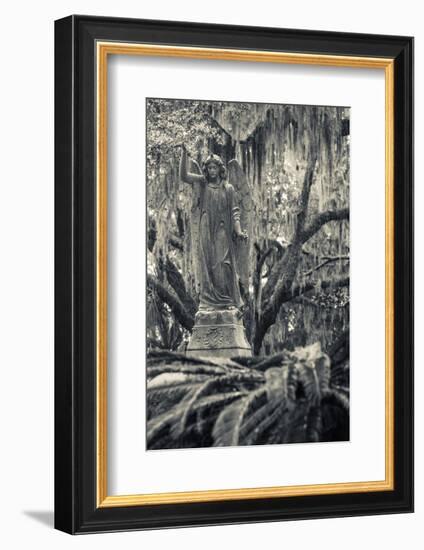 Georgia, Savannah, Bonaventure Cemetery-Walter Bibikow-Framed Photographic Print