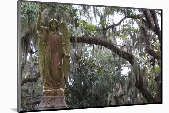 Georgia, Savannah, Bonaventure Cemetery-Walter Bibikow-Mounted Photographic Print