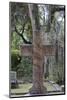 Georgia, Savannah, Bonaventure Cemetery-Walter Bibikow-Mounted Photographic Print