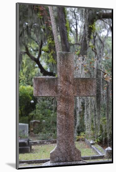 Georgia, Savannah, Bonaventure Cemetery-Walter Bibikow-Mounted Photographic Print