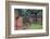 Georgia, Savannah, Burial Vaults in Historic Colonial Park Cemetery-Joanne Wells-Framed Photographic Print