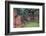 Georgia, Savannah, Burial Vaults in Historic Colonial Park Cemetery-Joanne Wells-Framed Photographic Print