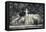 Georgia, Savannah, Fountain in Forsyth Park-Walter Bibikow-Framed Premier Image Canvas