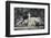 Georgia, Savannah, Fountain in Forsyth Park-Walter Bibikow-Framed Photographic Print