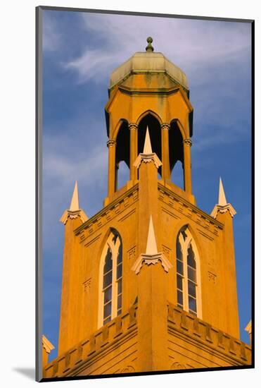 Georgia, Savannah, Mickve Israel Synagogue in the Historic District-Joanne Wells-Mounted Photographic Print