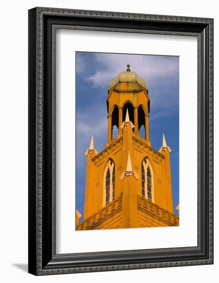 Georgia, Savannah, Mickve Israel Synagogue in the Historic District-Joanne Wells-Framed Photographic Print