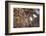 Georgia, Telavi. Religious Artwork at Gremi Monastery-Alida Latham-Framed Photographic Print