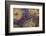 Georgia-Art Wolfe-Framed Photographic Print