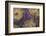 Georgia-Art Wolfe-Framed Photographic Print