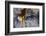 Georgia-Art Wolfe-Framed Photographic Print