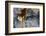 Georgia-Art Wolfe-Framed Photographic Print