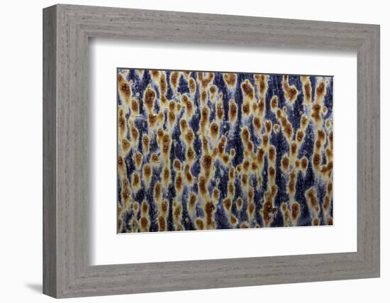 Georgia-Art Wolfe-Framed Photographic Print