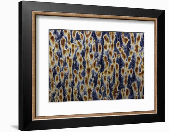 Georgia-Art Wolfe-Framed Photographic Print