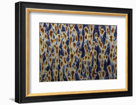 Georgia-Art Wolfe-Framed Photographic Print