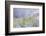 Georgia-Art Wolfe-Framed Photographic Print