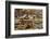 Georgia-Art Wolfe-Framed Photographic Print