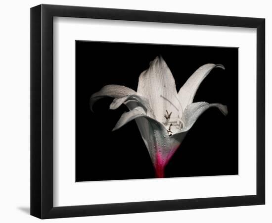 Georgia-Marco Carmassi-Framed Photographic Print