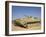 Georgian Army Light Tank-Stocktrek Images-Framed Photographic Print