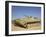 Georgian Army Light Tank-Stocktrek Images-Framed Photographic Print