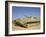 Georgian Army Light Tank-Stocktrek Images-Framed Photographic Print