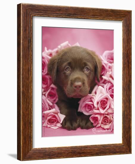 Georgie-Rachael Hale-Framed Photo