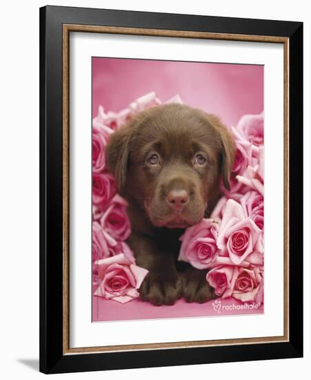 Georgie-Rachael Hale-Framed Photo