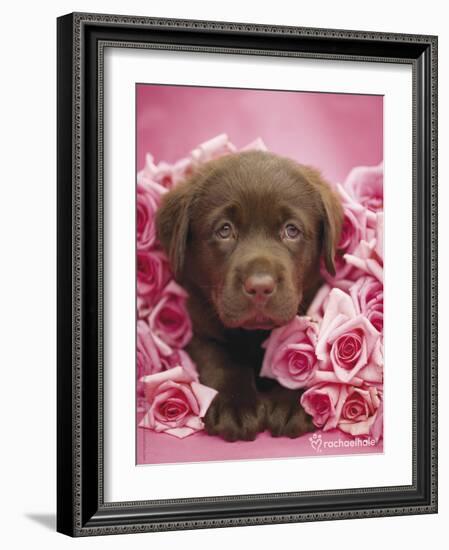 Georgie-Rachael Hale-Framed Photo