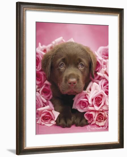 Georgie-Rachael Hale-Framed Photo