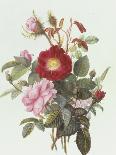 Still Life with Roses-Georgius Jacobus J. van Os-Framed Premier Image Canvas