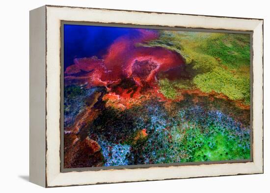 Geothermal Color-Howard Ruby-Framed Premier Image Canvas