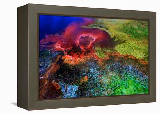 Geothermal Color-Howard Ruby-Framed Premier Image Canvas