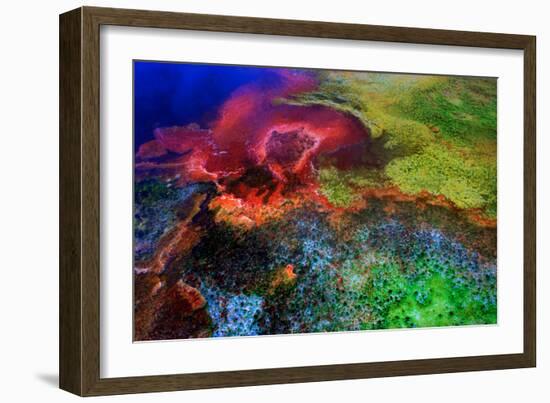 Geothermal Color-Howard Ruby-Framed Photographic Print