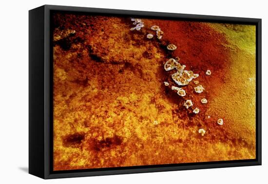 Geothermal Red Rocks-Howard Ruby-Framed Premier Image Canvas