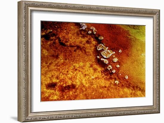 Geothermal Red Rocks-Howard Ruby-Framed Photographic Print