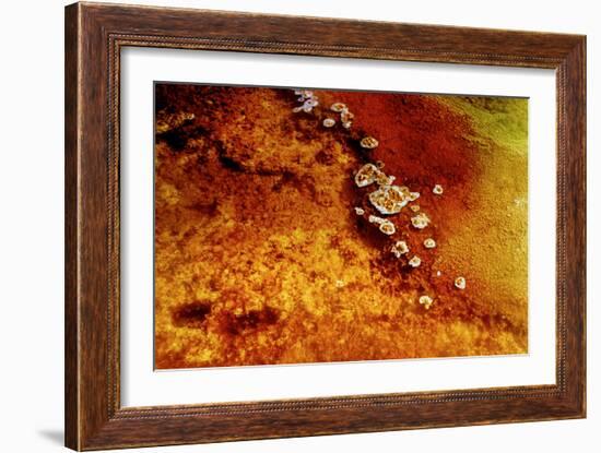 Geothermal Red Rocks-Howard Ruby-Framed Photographic Print