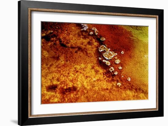 Geothermal Red Rocks-Howard Ruby-Framed Photographic Print