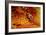 Geothermal Red Rocks-Howard Ruby-Framed Photographic Print