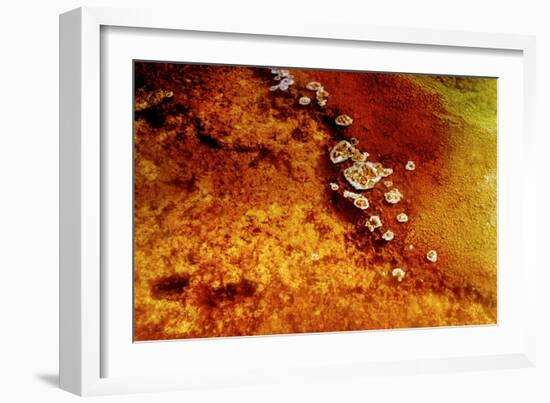 Geothermal Red Rocks-Howard Ruby-Framed Photographic Print