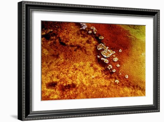 Geothermal Red Rocks-Howard Ruby-Framed Photographic Print