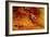 Geothermal Red Rocks-Howard Ruby-Framed Photographic Print